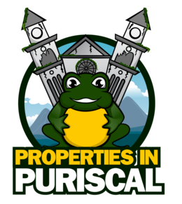 Properties in Puriscal
