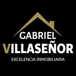 GABRIEL VILLASEÑOR