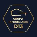 Grupo Inmobiliario D13
