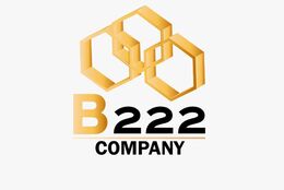 B222 Company
