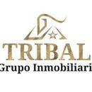 Tribal Grupo Inmobiliario