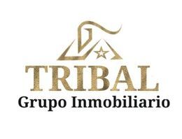 Tribal Grupo Inmobiliario