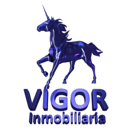 Vigor Inmobiliaria
