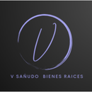 V. Sañudo Asociados