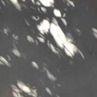 Marcela Ramírez Gomez