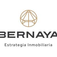 ASESOR  2 BERNAYA