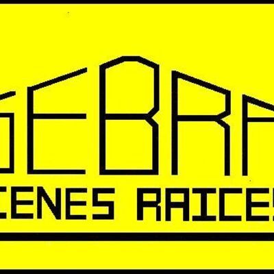 LORENA RIVERO  TORRES