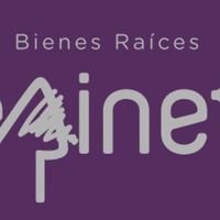 Grupo Epinet