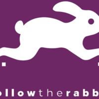 Follow The Rabbit