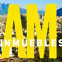 AM INMUEBLES