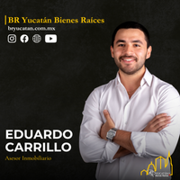 Coordinador General de BR Yucatán Bienes Raíces