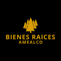 Bienes Raíces Amealco