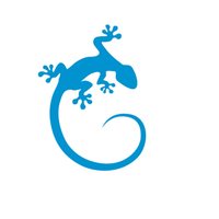 Gecko Caribbean