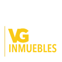 AGENTE VG