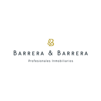 Asesor Inmobiliario