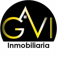 Grupo GVI