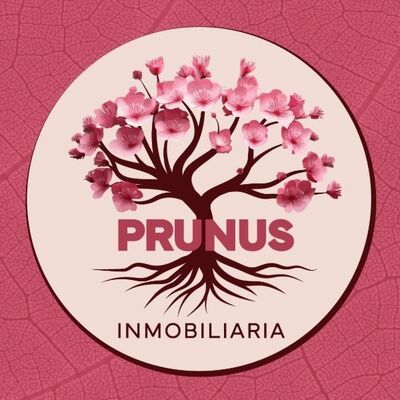 Claudia flores Guluarte