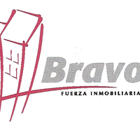 SILVIA BRAVO SILVIA BRAVO