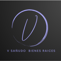 V. Sañudo Asociados