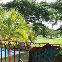 Atlantea cocotal