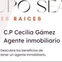 Cecilia Gamez