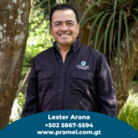 Lester Arana