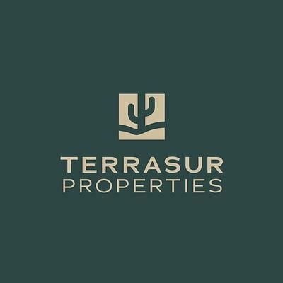 Terrasur properties