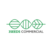 3SEEDS COMMERCIAL ZONA CENTRO