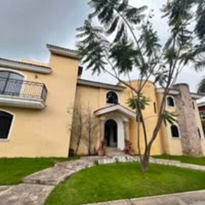 MARLENE MENESES JIMENEZ