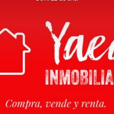 Yaed Inmobiliaria