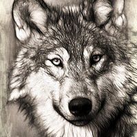 Fox Piantini Real Estate Bóker