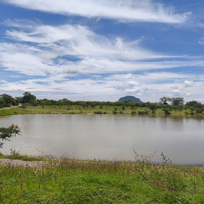 PERLA JASMIN RODRIGUEZ