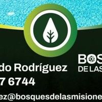 ARMANDO RODRIGUEZ