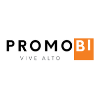ASESOR INMOBILIARIO