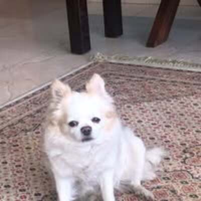 Ana mercedes Contacto