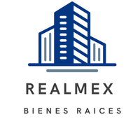 REALMEX BIENES RAICES