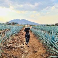 Elizabeth Penilla Ahumada