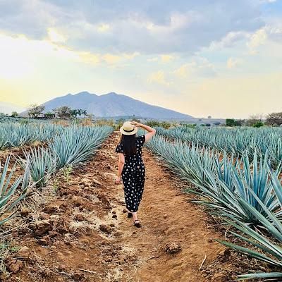 Elizabeth Penilla Ahumada