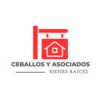 Asesor Inmobiliario