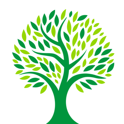 Central de Casas Team Central de Casas