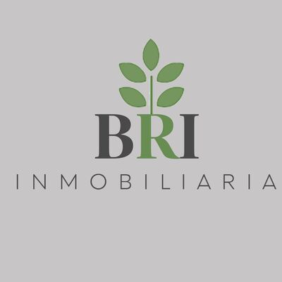 Asesor Inmobiliario BRI