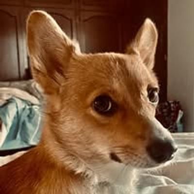 Lucy Quintero-O'Brien