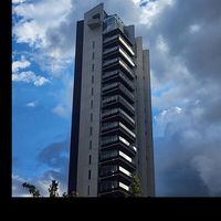 Junot Properties