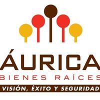 Aurica Bienes Raices