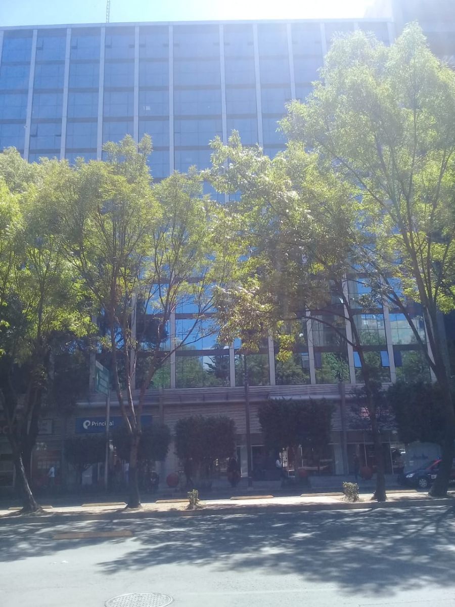 3 de 8