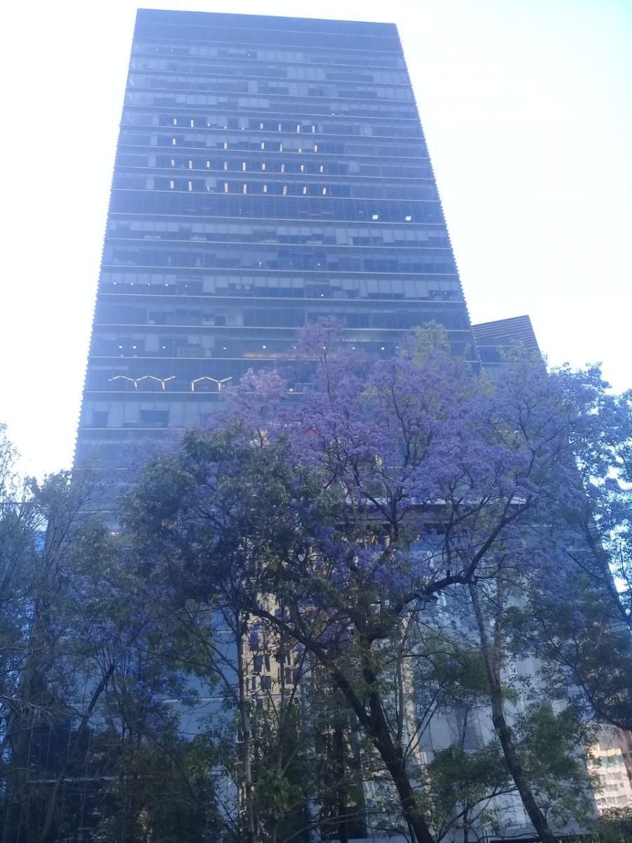 4 de 6
