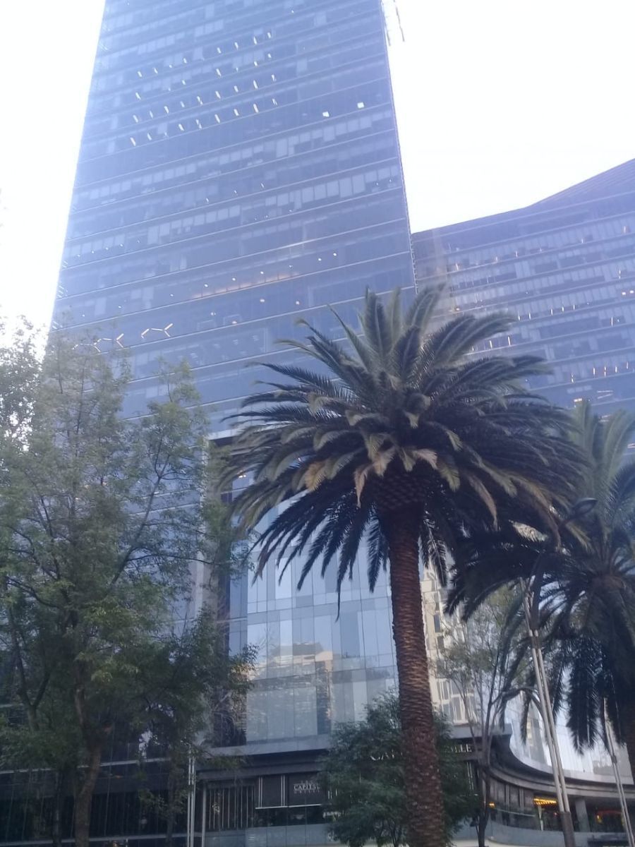 1 de 10