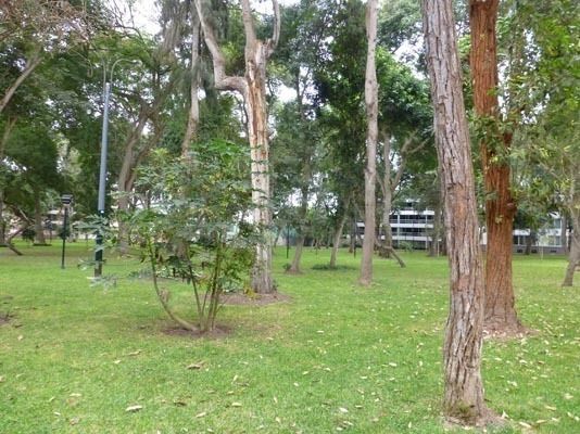 4 de 22: Parque Privado Hermasia Payet al cual se accede desde edific