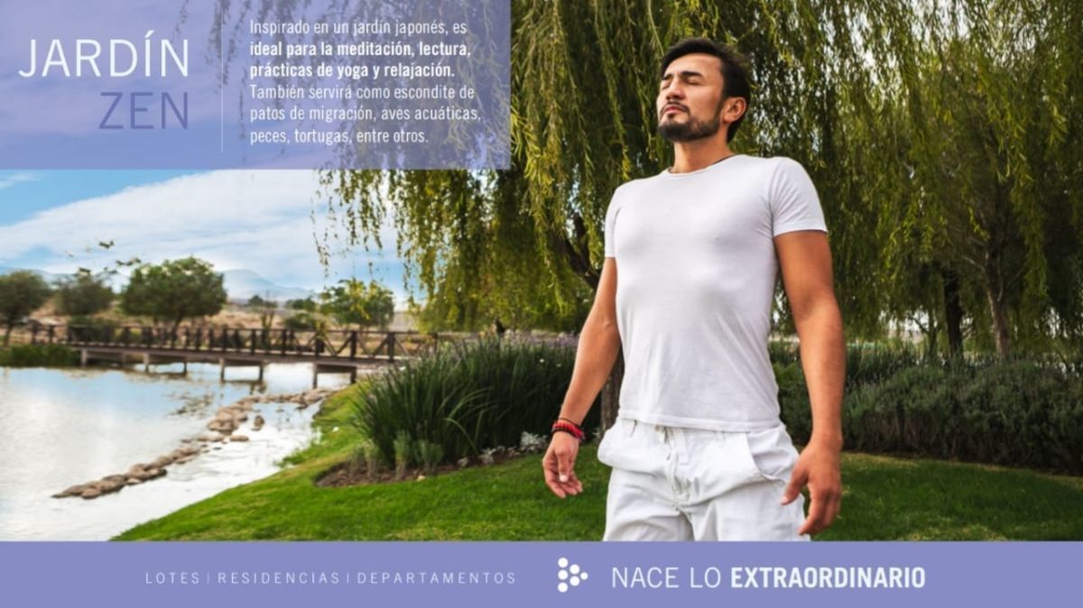 15 de 29