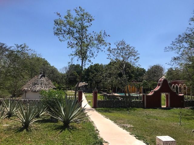 19 de 22: Hacienda DColección
Mérida Yucatán Venta